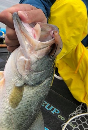 hideup 永野総一朗 ブログ写真 2018/09/09