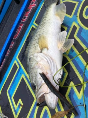 hideup 永野総一朗 ブログ写真 2018/09/11