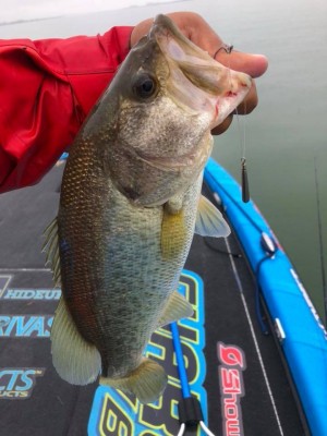 hideup 永野総一朗 ブログ写真 2018/09/11