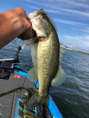 hideup 永野総一朗 ブログ写真 2018/09/11