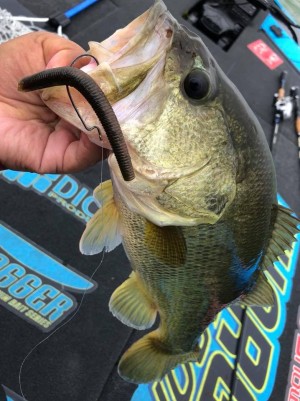 hideup 永野総一朗 ブログ写真 2018/09/11