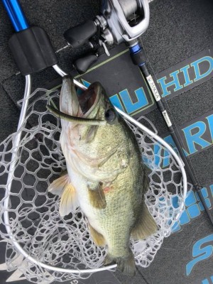 hideup 永野総一朗 ブログ写真 2018/09/11