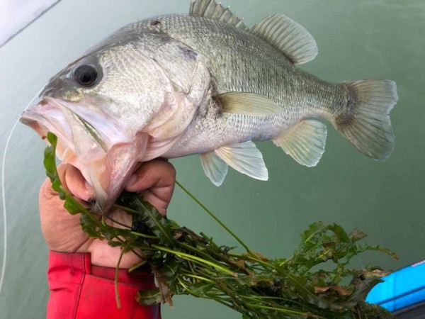 hideup 永野総一朗 ブログ写真 2018/09/11