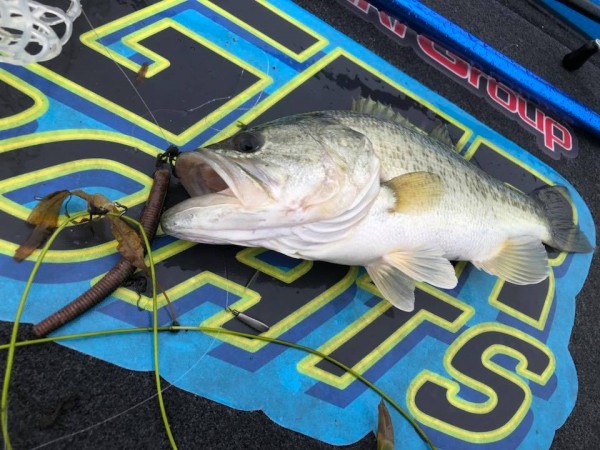 hideup 永野総一朗 ブログ写真 2018/09/11