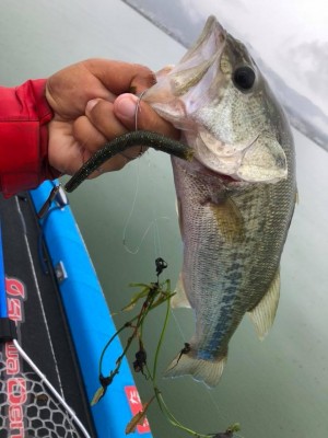 hideup 永野総一朗 ブログ写真 2018/09/11