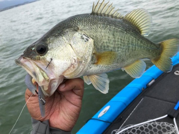 hideup 永野総一朗 ブログ写真 2018/09/12