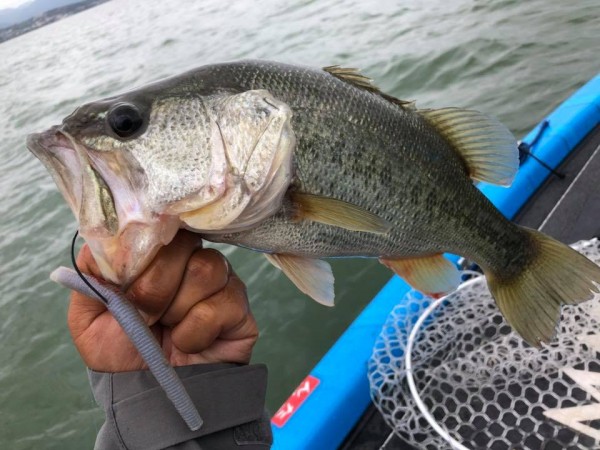 hideup 永野総一朗 ブログ写真 2018/09/12