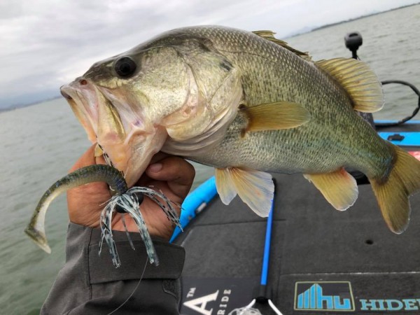 hideup 永野総一朗 ブログ写真 2018/09/12