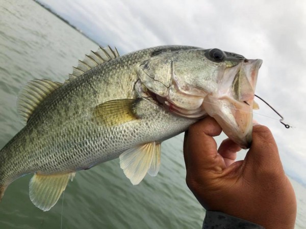 hideup 永野総一朗 ブログ写真 2018/09/12