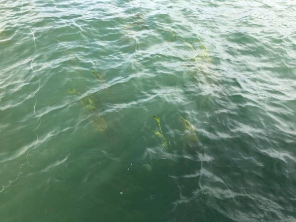 hideup 永野総一朗 ブログ写真 2018/09/13