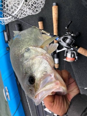 hideup 永野総一朗 ブログ写真 2018/09/15