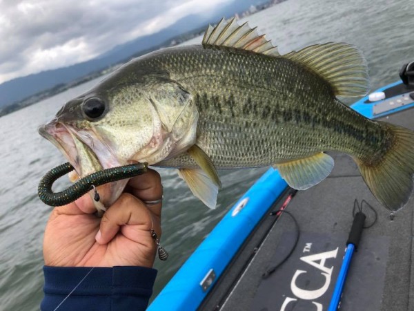 hideup 永野総一朗 ブログ写真 2018/09/18