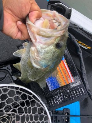 hideup 永野総一朗 ブログ写真 2018/09/20