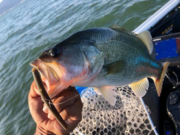 hideup 永野総一朗 ブログ写真 2018/09/20