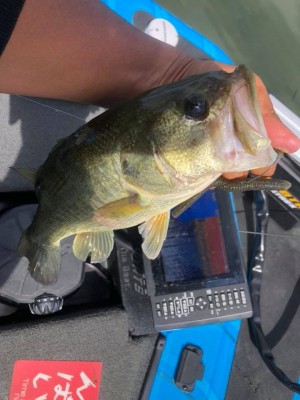 hideup 永野総一朗 ブログ写真 2018/09/20