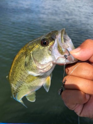 hideup 永野総一朗 ブログ写真 2018/09/22