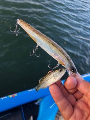 hideup 永野総一朗 ブログ写真 2018/09/22