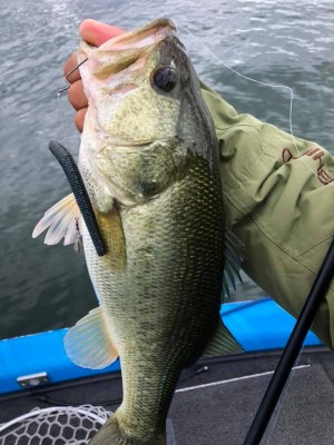 hideup 永野総一朗 ブログ写真 2018/09/22