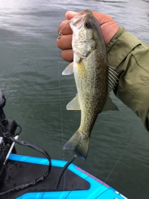 hideup 永野総一朗 ブログ写真 2018/09/22