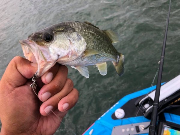 hideup 永野総一朗 ブログ写真 2018/09/25