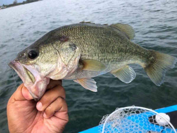 hideup 永野総一朗 ブログ写真 2018/09/25