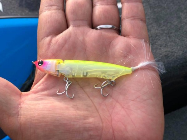 hideup 永野総一朗 ブログ写真 2018/09/26