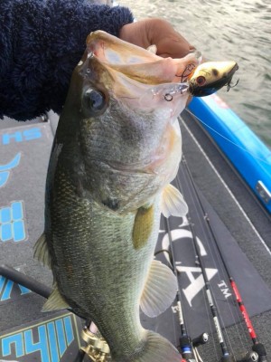 hideup 永野総一朗 ブログ写真 2018/10/02