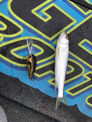 hideup 永野総一朗 ブログ写真 2018/10/02