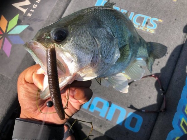 hideup 永野総一朗 ブログ写真 2018/10/03