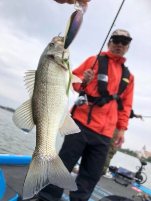 hideup 永野総一朗 ブログ写真 2018/10/04