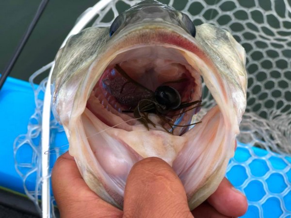 hideup 永野総一朗 ブログ写真 2018/10/11