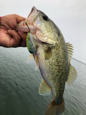 hideup 永野総一朗 ブログ写真 2018/10/11