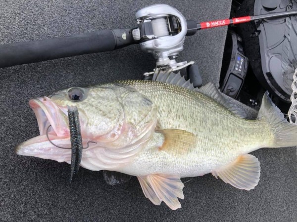 hideup 永野総一朗 ブログ写真 2018/10/11