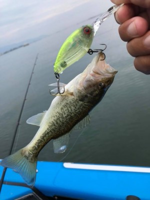 hideup 永野総一朗 ブログ写真 2018/10/11