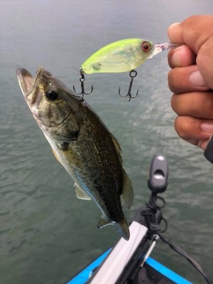 hideup 永野総一朗 ブログ写真 2018/10/12