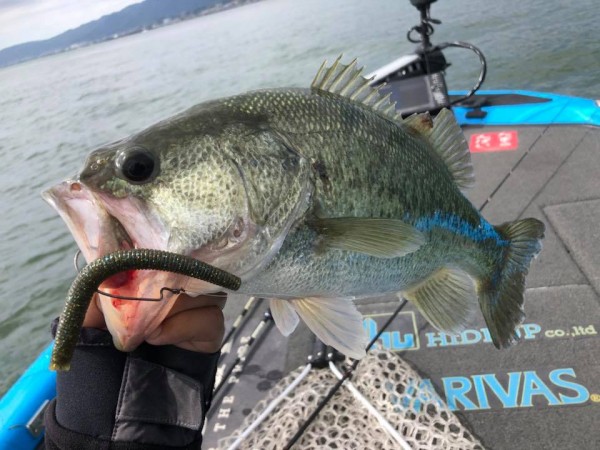 hideup 永野総一朗 ブログ写真 2018/10/14