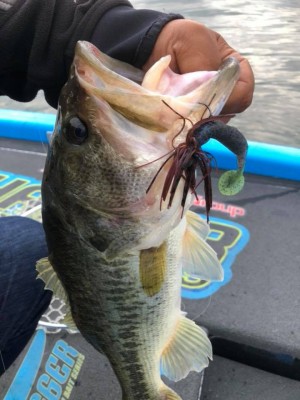 hideup 永野総一朗 ブログ写真 2018/10/14