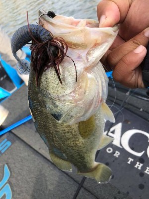 hideup 永野総一朗 ブログ写真 2018/10/14