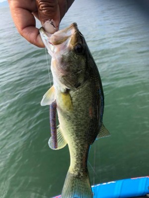 hideup 永野総一朗 ブログ写真 2018/10/15