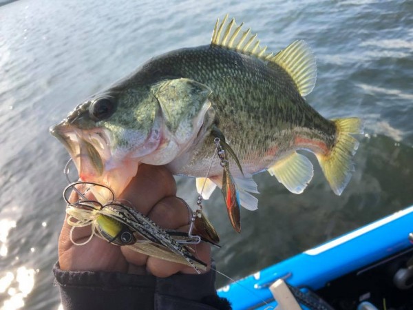 hideup 永野総一朗 ブログ写真 2018/10/15