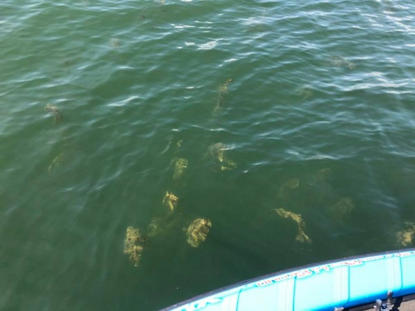 hideup 永野総一朗 ブログ写真 2018/10/17