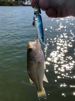 hideup 永野総一朗 ブログ写真 2018/10/19