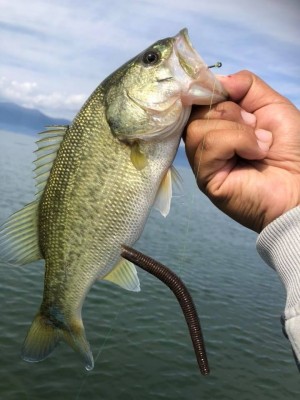 hideup 永野総一朗 ブログ写真 2018/10/19