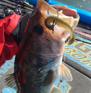 hideup 永野総一朗 ブログ写真 2018/10/22