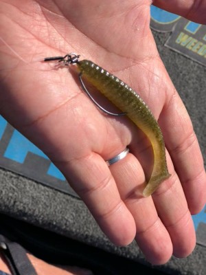 hideup 永野総一朗 ブログ写真 2018/10/22