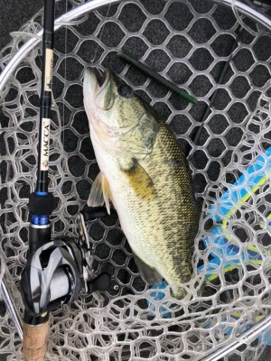 hideup 永野総一朗 ブログ写真 2018/10/23