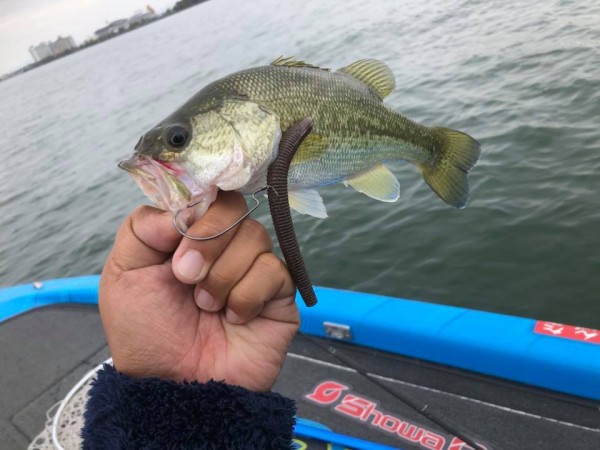 hideup 永野総一朗 ブログ写真 2018/10/23