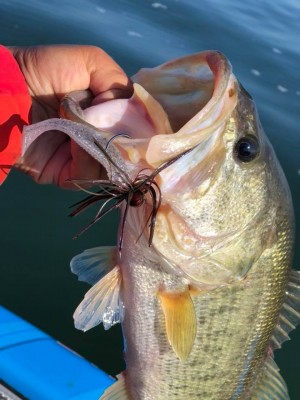 hideup 永野総一朗 ブログ写真 2018/10/27