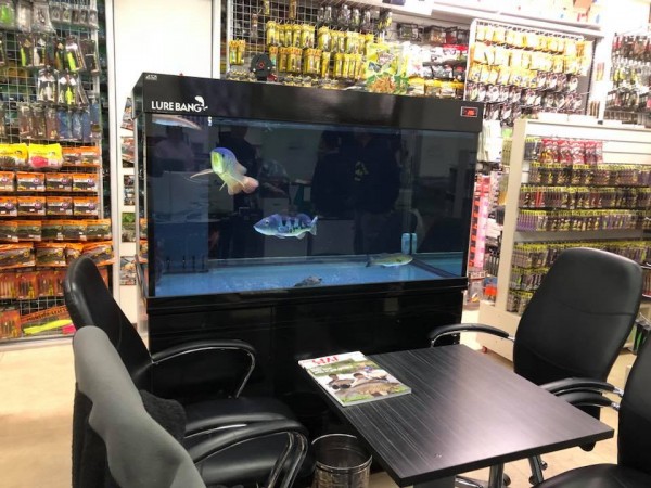 hideup 永野総一朗 ブログ写真 2018/11/03