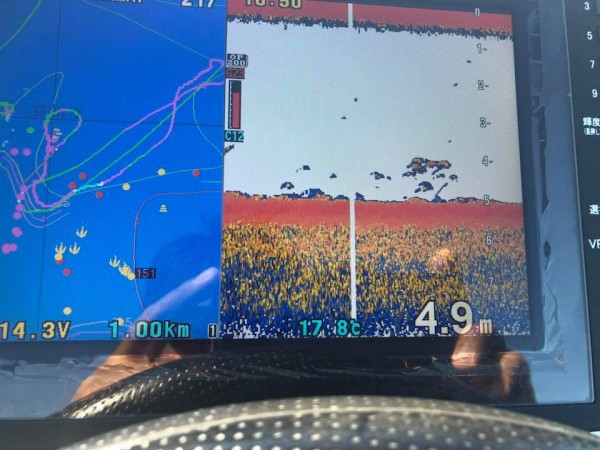 hideup 永野総一朗 ブログ写真 2018/11/07